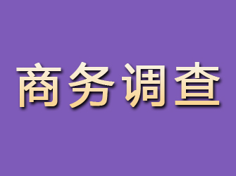 白山商务调查